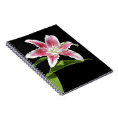 Carnet Lis d'astronome (Côté Droit)
