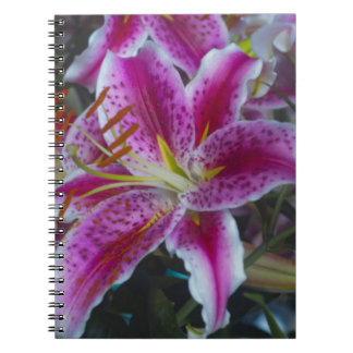 Carnet Lis d'astronome roses et fleurs magenta
