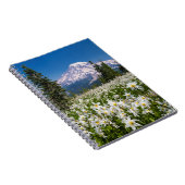 Carnet Lis de l'avalanche et Mont Rainier 2 (Côté Droit)