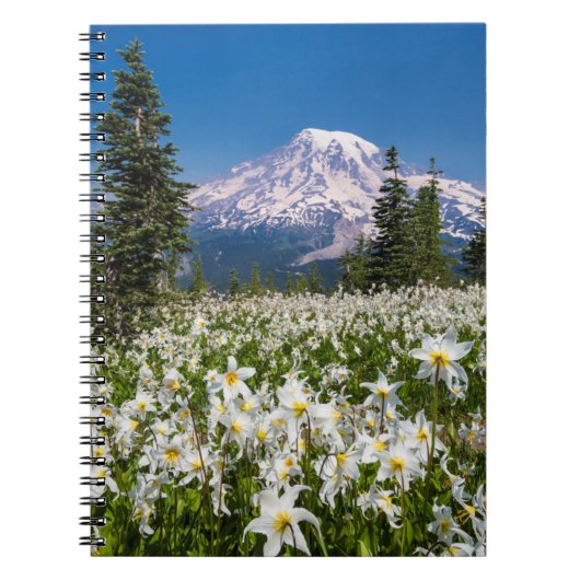 Carnet Lis de l'avalanche et Mont Rainier 2 (Devant)