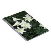 Carnet Lis de Pâques (Lilium regale) (Côté Droit)