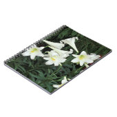Carnet Lis de Pâques (Lilium regale) (Côté gauche)