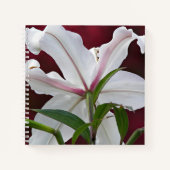 Carnet Lis floral blanc de lys oriental (Devant)