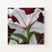 Carnet Lis floral blanc de lys oriental (Dos)