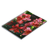 Carnet Lis floraux asiatiques orange (Côté gauche)