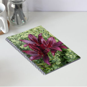 Carnet Lis floraux asiatiques rouges foncés