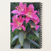 Carnet Lis floraux de lys orientaux roses (Verso)