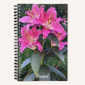 Carnet Lis floraux de lys orientaux roses (Recto)