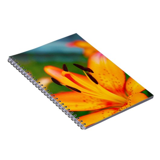 Carnet Lis II (Côté Droit)