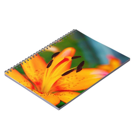 Carnet Lis II (Côté gauche)