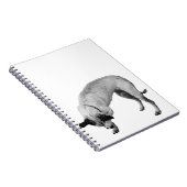 Carnet Listes secrètes Terrier (Côté Droit)