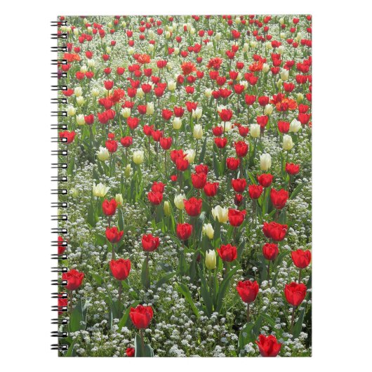 Carnet Lit de tulipes (Devant)