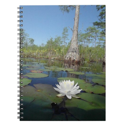Carnet Lit d'eau 2 (Devant)