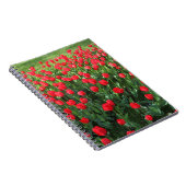 Carnet Lit des Tulipes rouges 01 (Côté Droit)