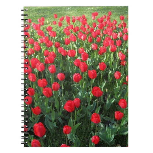 Carnet Lit des Tulipes rouges 01 (Devant)
