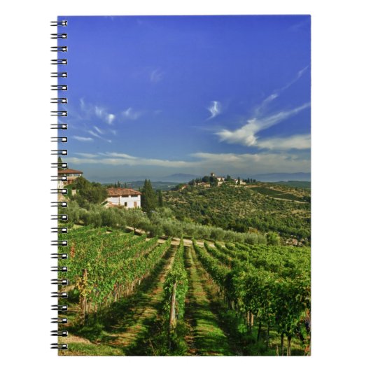Carnet L'Italie, Toscane, Greve. Les vignobles de (Devant)