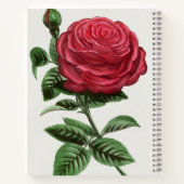 Carnet Lithographie de rose antique, François-Frédéric Gr (Dos)