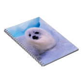 Carnet Little Harp Seal Pup Covered in Snowflakes (Côté Droit)