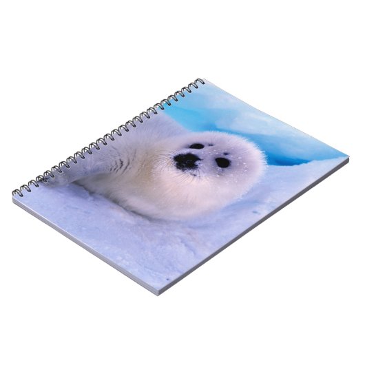 Carnet Little Harp Seal Pup Covered in Snowflakes (Côté gauche)