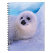 Carnet Little Harp Seal Pup Covered in Snowflakes (Devant)