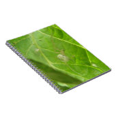 Carnet Little Spider (Côté Droit)