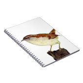 Carnet Little Wren (Côté Droit)