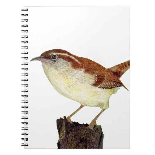 Carnet Little Wren (Devant)