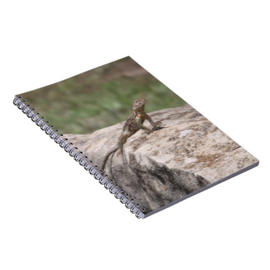 Carnet Lizard (Côté Droit)