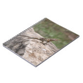 Carnet Lizard (Côté gauche)