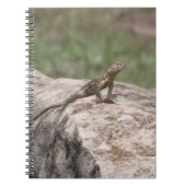 Carnet Lizard (Devant)