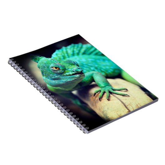 Carnet Lizard (Côté Droit)