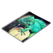 Carnet Lizard (Côté gauche)