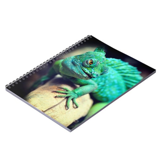 Carnet Lizard (Côté gauche)