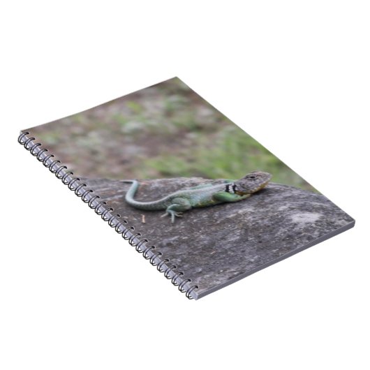 Carnet Lizard (Côté Droit)