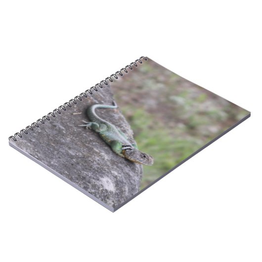 Carnet Lizard (Côté gauche)