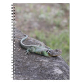Carnet Lizard (Devant)