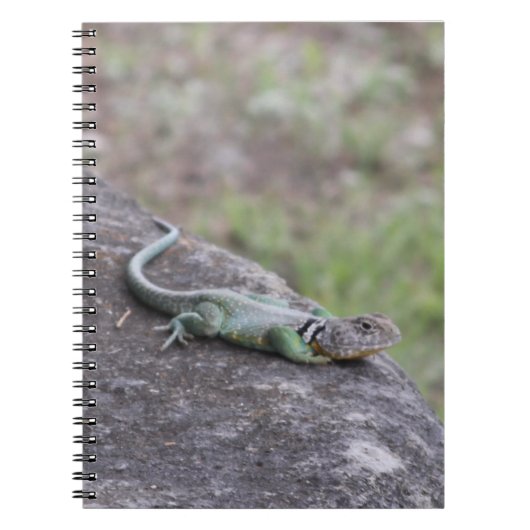 Carnet Lizard (Devant)
