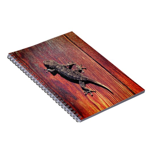 Carnet Lizard (Côté Droit)