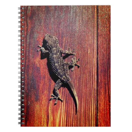 Carnet Lizard (Devant)