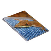 Carnet Lizard d'Anole Verte (Côté Droit)