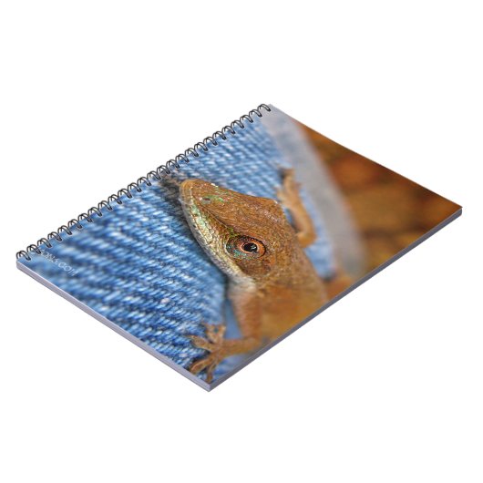 Carnet Lizard d'Anole Verte (Côté gauche)