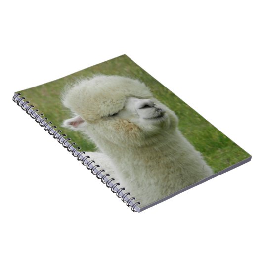 Carnet Llama (Côté Droit)