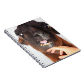 Carnet Llama (Côté Droit)