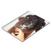 Carnet Llama (Côté gauche)