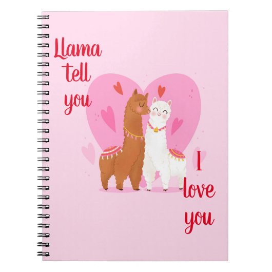 Carnet Llama Dites-vous (Devant)