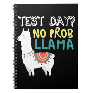 Carnet Llama Gift | Jour de test Aucun costume ProbLlama