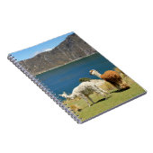 Carnet Llamas (Côté Droit)