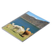 Carnet Llamas (Côté gauche)