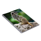 Carnet Lone Meerkat (Côté Droit)
