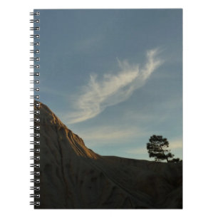 Carnet Lone Torrey Pine Californie Sunset Paysage